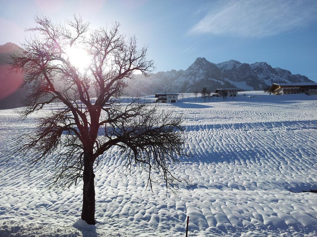 Chalet Glockenhof Walchsee Esterno foto