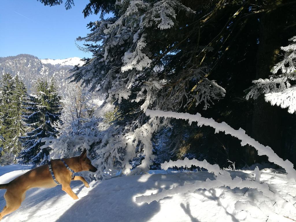 Chalet Glockenhof Walchsee Esterno foto